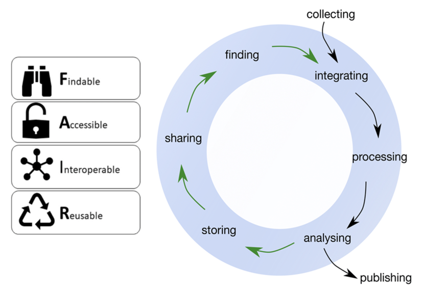 The data life cycle and FAIR data principles