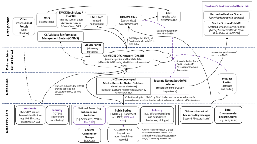 Proposed streamlined data flow mapped out for benthic data