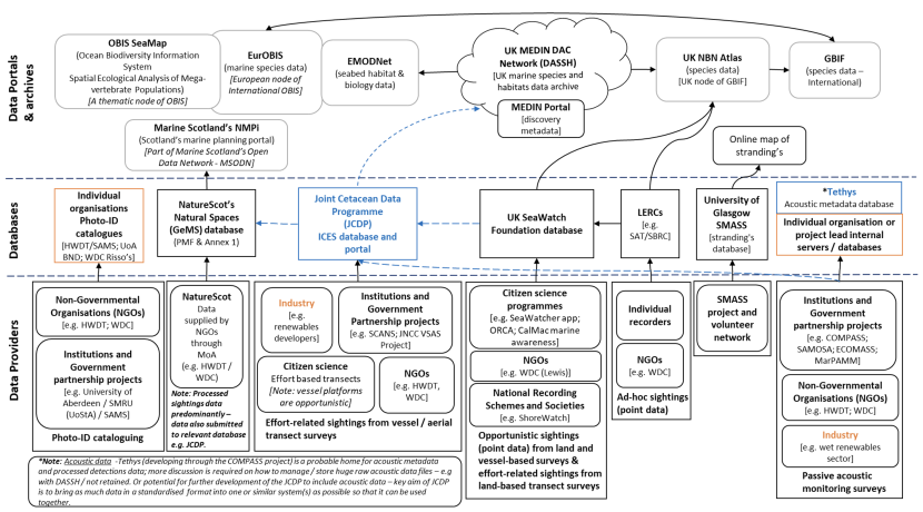 Cetacean data flow landscape mapped to identify current issues