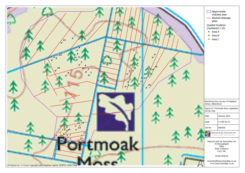 The locations of surveyed quadrats and notable observations made during the survey at Portmoak Moss at Area A, B and C, where scrub and brash was mulched, ridges and furrows reprofiled and dams installed.