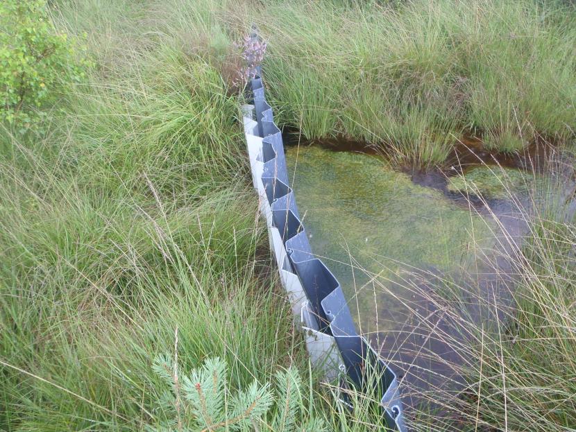 Example of a double plastic piling dam blocking a ditch.