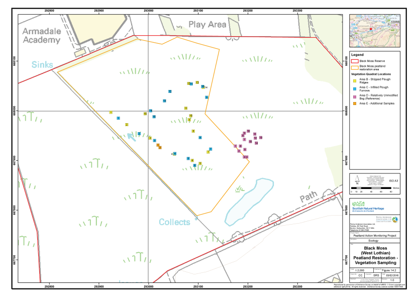 Map of Black Moss (West Lothian) showing the locations of the vegetation survey quadrats and the peatland restoration area