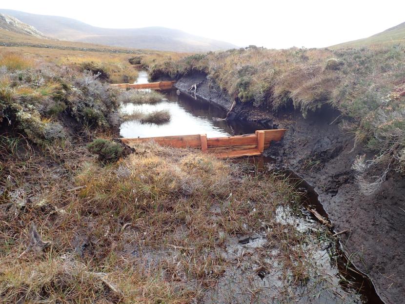 Leaky wooden dams blocking an eroding gully.