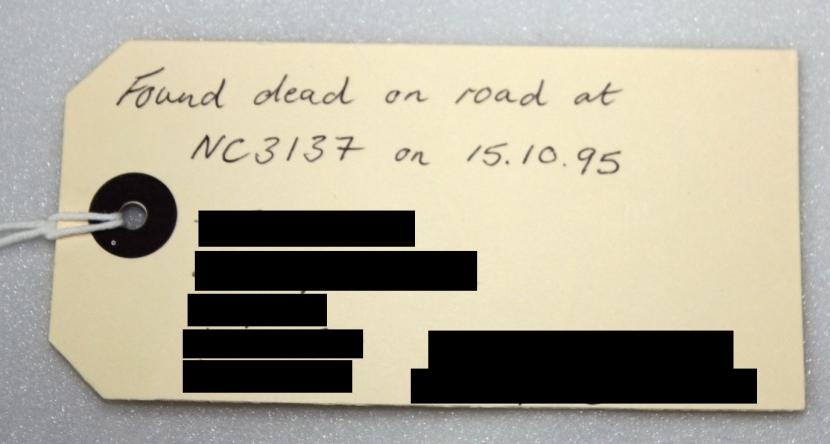 Label with location and/or grid reference/GPS coordinates, date, collector name and contact details
