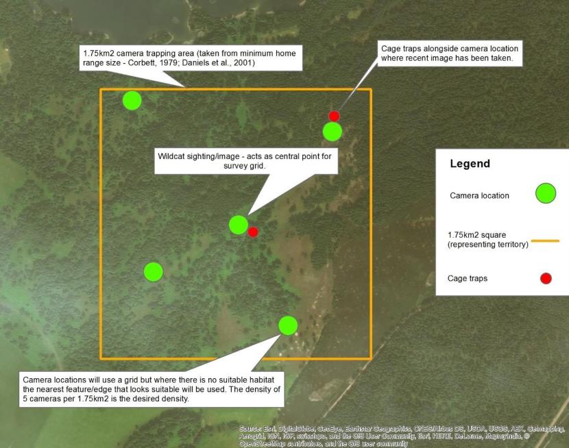 Figure 4: A map showing the placement of camera locations based on a sighting or known location of a suspected wildcat.  