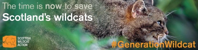 A banner used during the #generationwildcat campaign, showing a wildcat in profile and the text “The time is now to save Scotland’s wildcats”. 