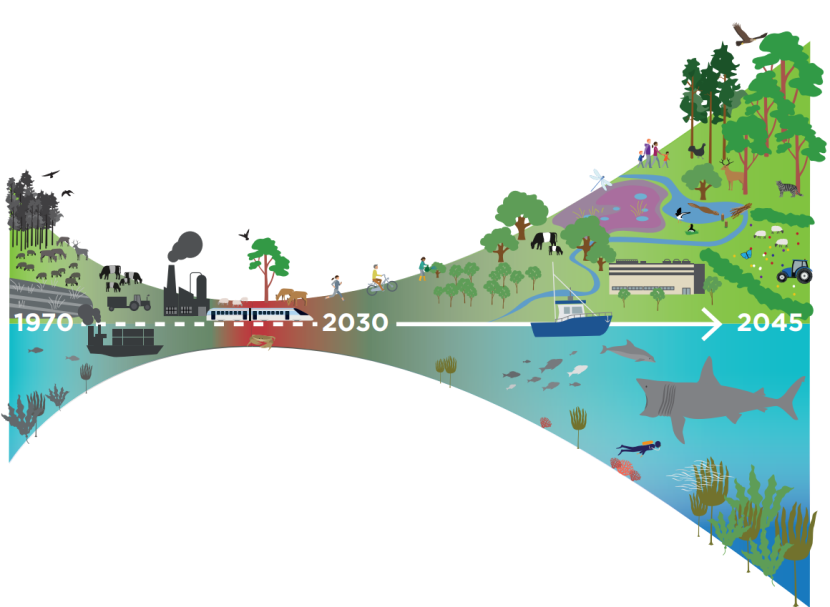 Business Plan 2023 - Infographic
