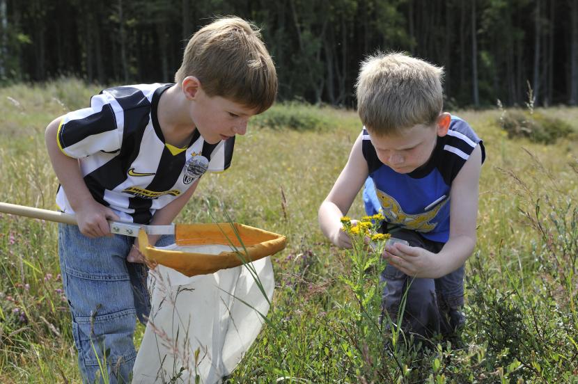 Young visitors at the Tentsmir NNR open day