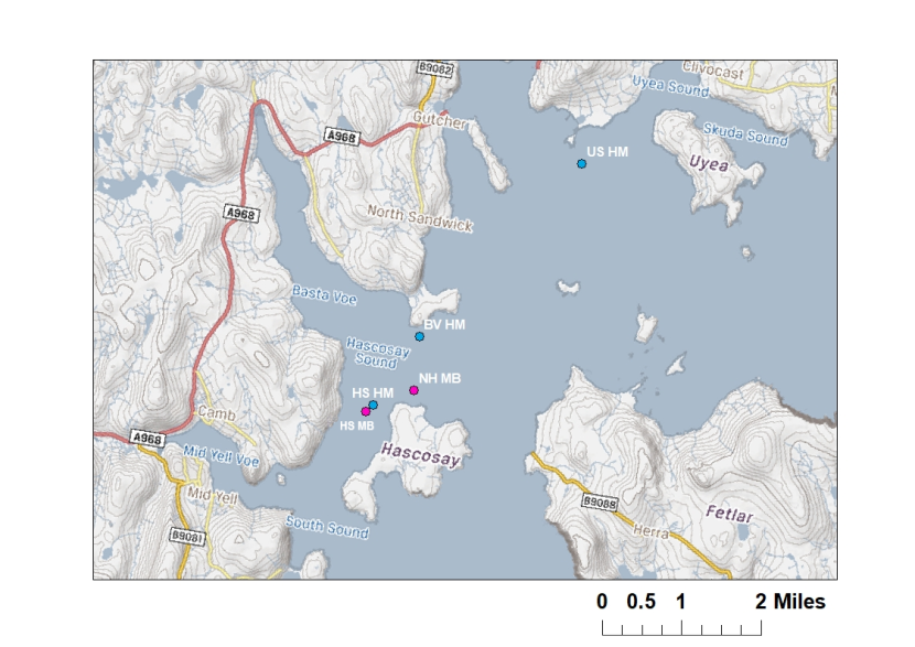 Map of the Fetlar to Haroldswick MPA. Showing maerl bed (pink) and horse mussel bed (blue) sampling stations where infaunal data was obtained from.