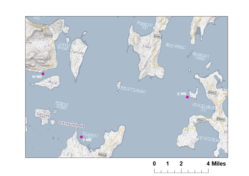 Map of Orkney showing maerl bed sampling stations (pink points) where infaunal data was obtained from.