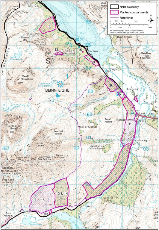 Beinn Eighe map showing the planted compartments