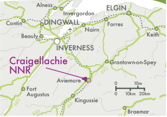 Craigellachie National Nature Reserve map