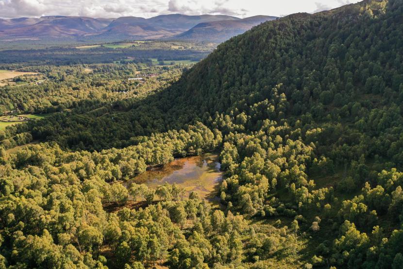 An aerial view of the old reservoir and birch woodland at Craigellachie