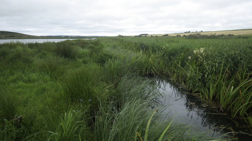 View north showing the central canal