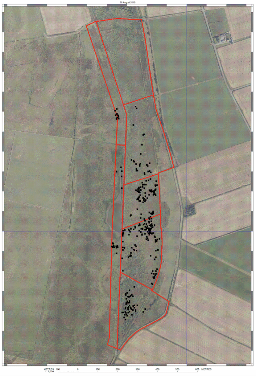 Location of Calamagrostis flowers