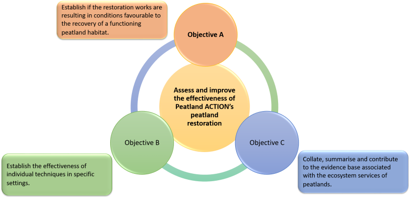 Illustration of the Monitoring Strategy’s overall aim and three objectives.  
