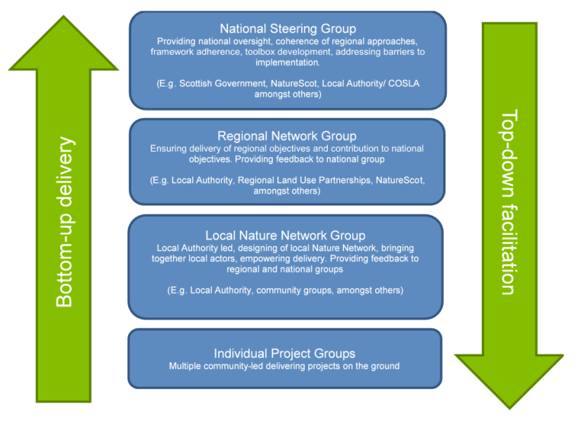 Infographic showing the proposed governance structure with bottom-up delivery and top-down facilitation following individual project groups, local nature network group, regional network group, national steering group