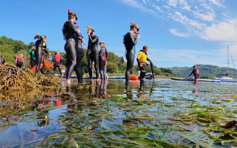 Group of adults with wetsuits and snorkles entering the loch