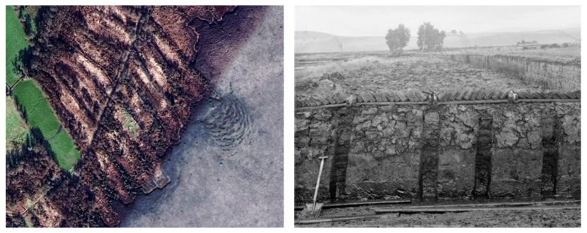Images showing structural damage to peat associated with cutting and drainage. 