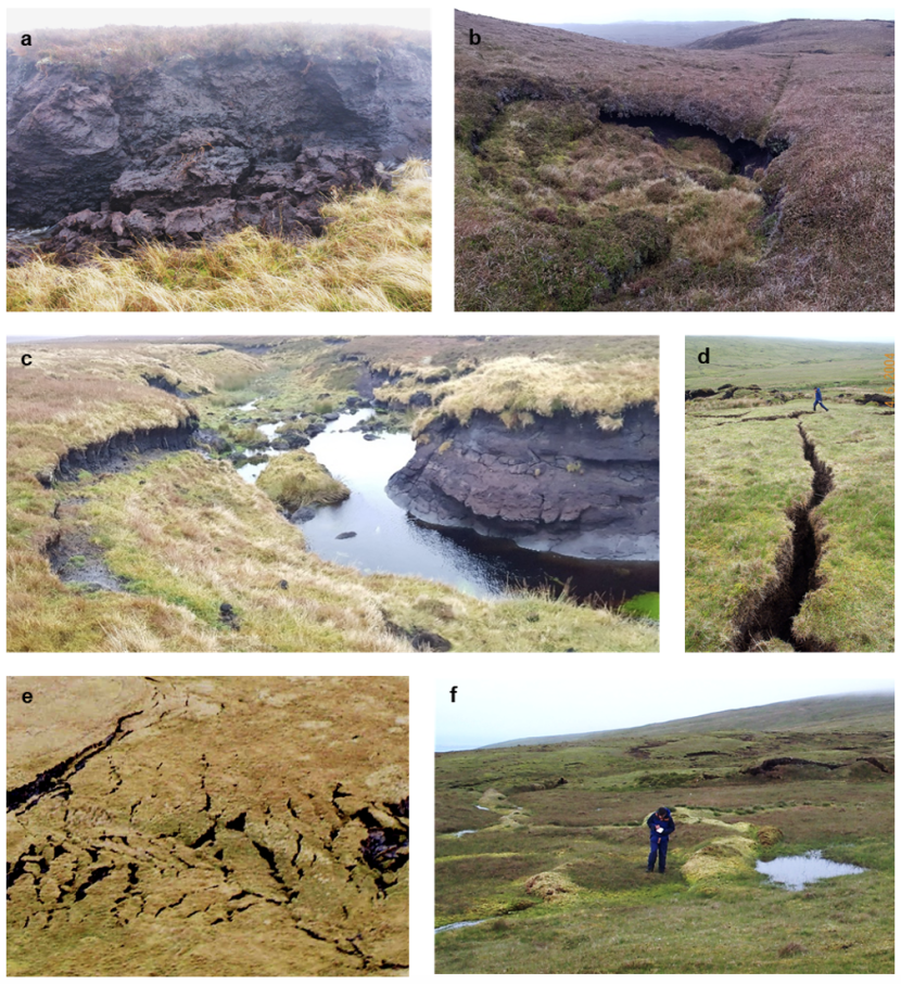 Six examples of minor instability in peatland.