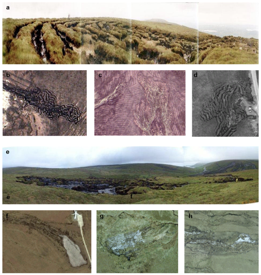 Eight examples of major instability in peat