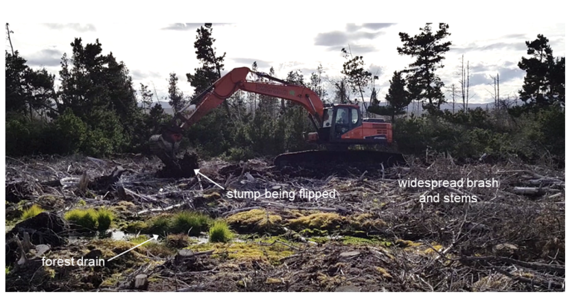 Image showing a 21 tonne excavator undertaking stump flipping.