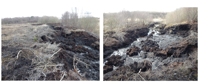 Photographs of the margin failure source area (left) and runout (right).