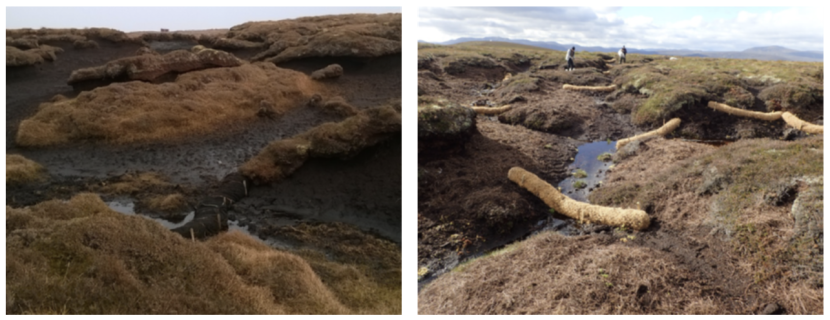 Images showing examples of peat surface bunding in gullied blanket bog (left), and coir bunding (right).