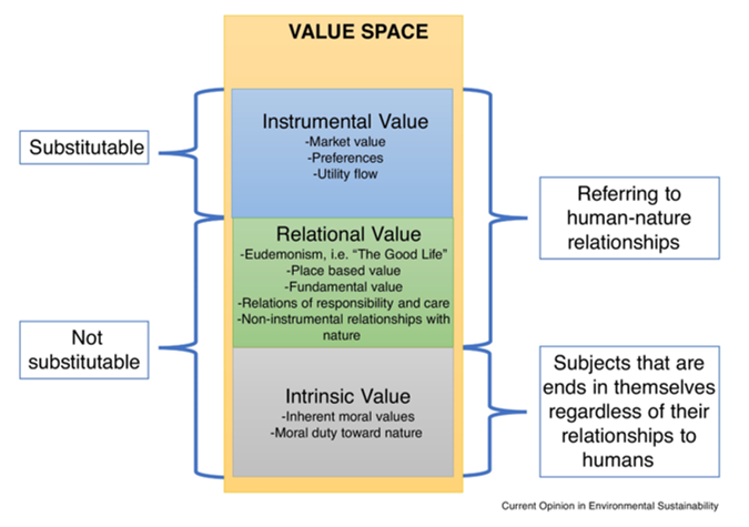 Diagram showing the three types of values of nature: instrumental, relational and intrinsic