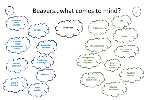 Diagram showing what participants’ perceptions (positive and negative) of beavers.