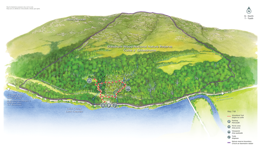 Glasdrum Wood NNR map illustration