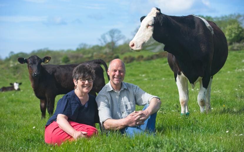 Man and woman with cow and calf in field - copyright Ian Finlay