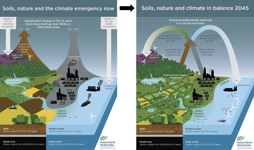 A visual depiction of how soil, nature and climate interact and exist now, during the climate and nature crises, and how positive action could be transformative for the future.