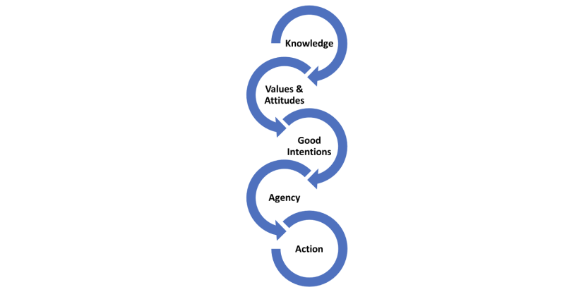 Diagram showing the steps towards behaviour change.