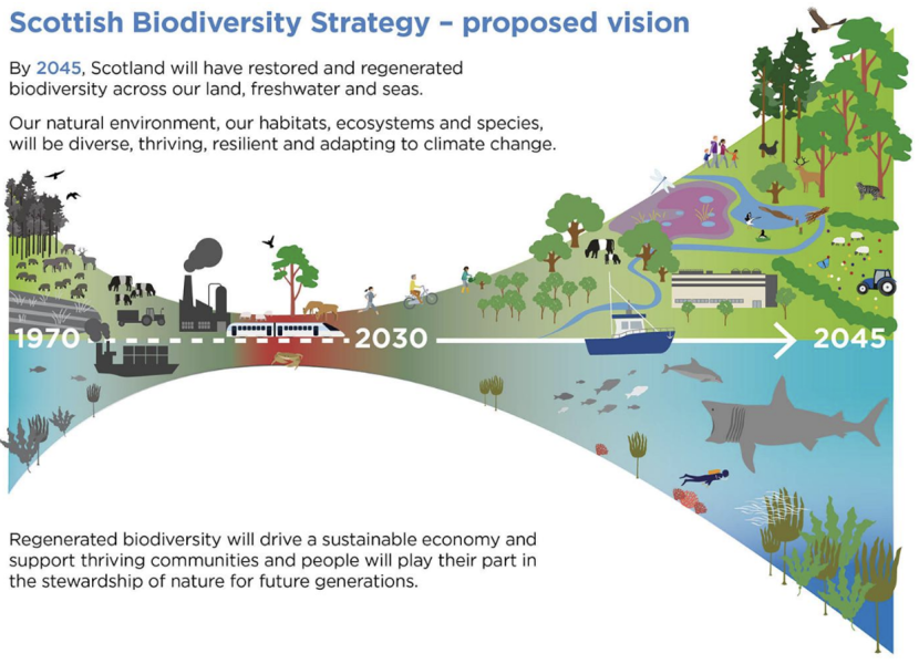 Visual from vision of the draft revised Scottish Biodiversity Strategy.