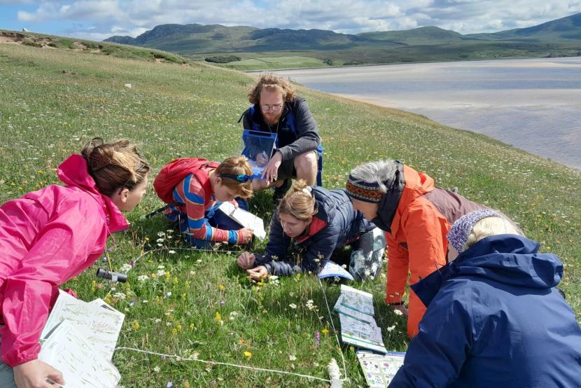 Species on the Edge - North Coast wildflower survey 