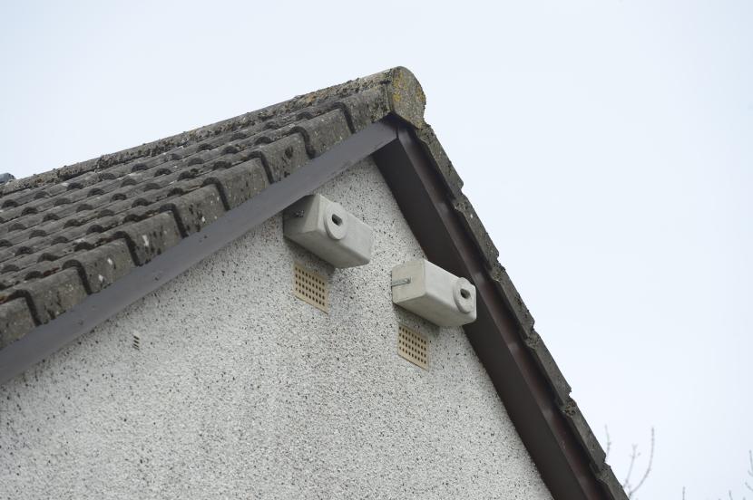 swift box attached to the gable end of a house.