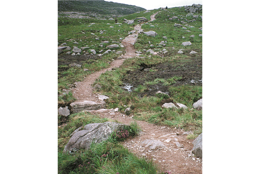 Photo of an upland path after repair