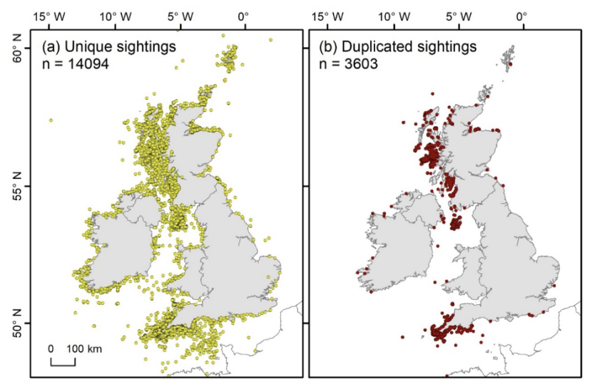 Maps showing locations of unique and duplicated basking shark sightings records.