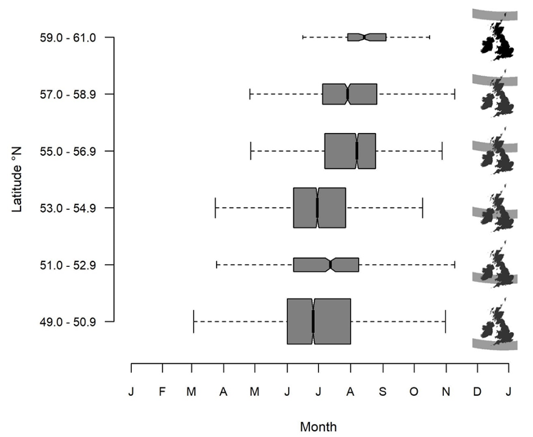 Boxplots of basking shark sightings by month at different latitudes.
