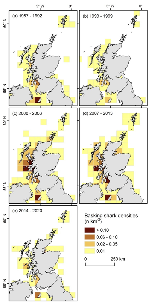 Maps showing density of basking shark sightings for Scottish waters in five periods across the time series. 