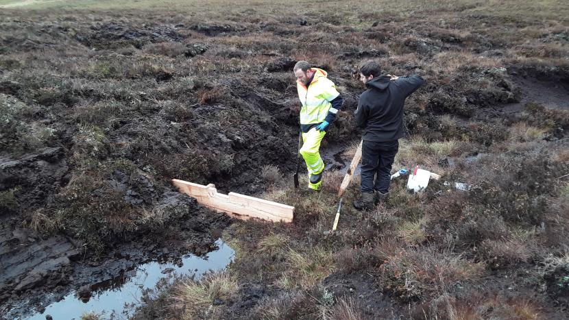 Two workers installing timber dams in an eroding peatland gully.