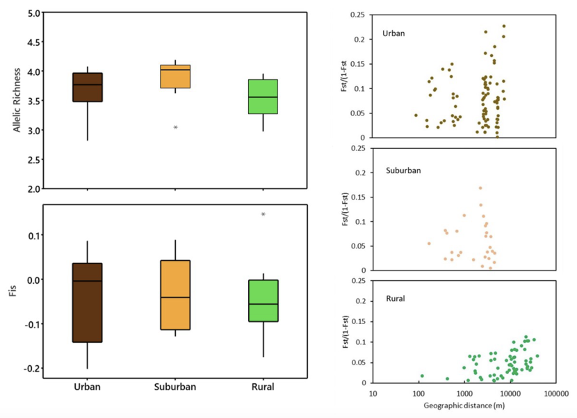 Box and scatter plots of genetic comparison between urban, suburban and rural common frog populations in and around Inverness.