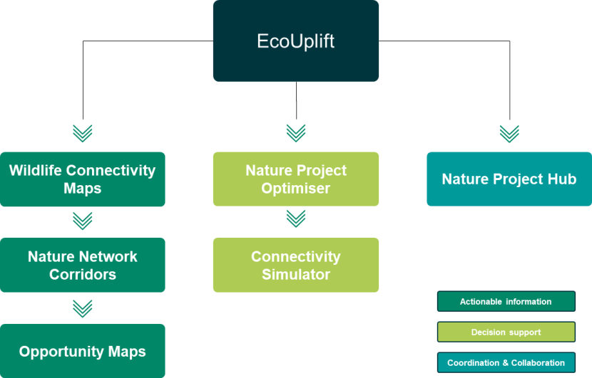 Schematic of the tool showing the different elements that are being built on top of Eco Uplift; wildlife connectivity maps, nature network corridors, opportunity maps, nature project optimiser, connectivity simulator, nature project hub.