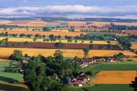 farmland - fields of crops