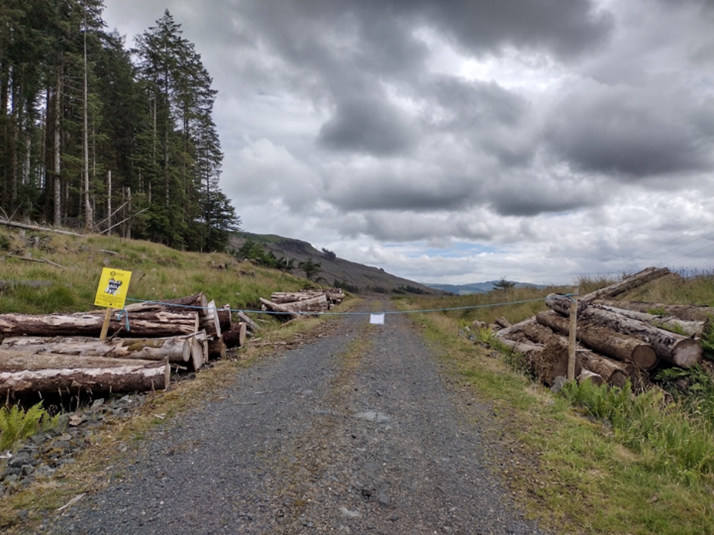 Forest track with a chain barrier across it, with wood piles on either side of the path.