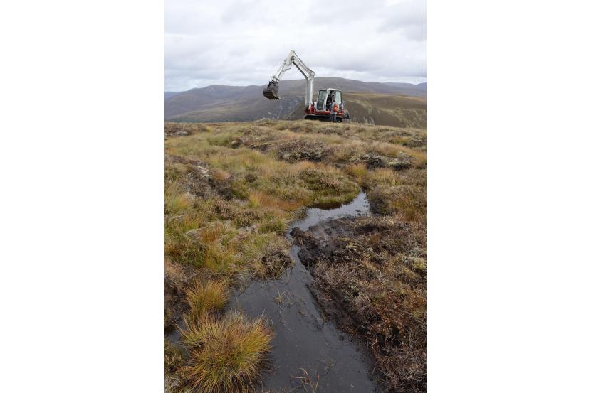 An excavator working on an area of peatland.