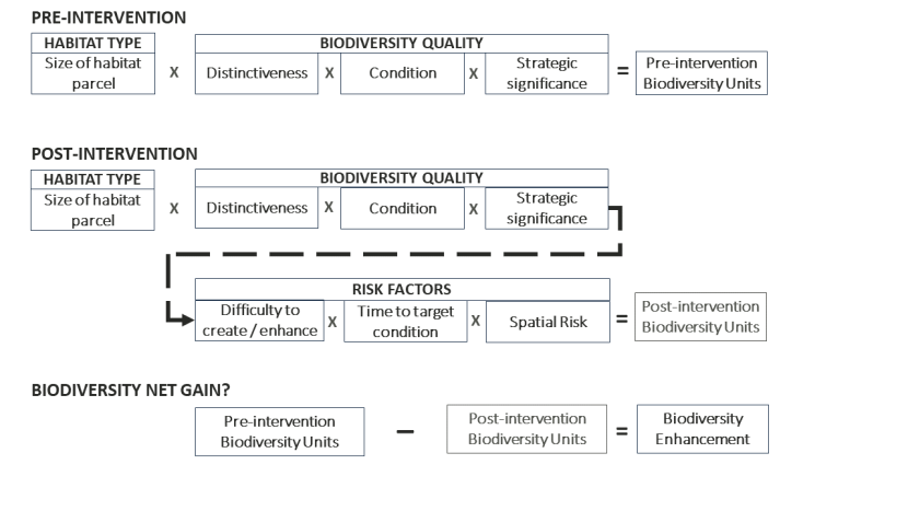 Diagram illustrating the various components of England's statutory biodiversity metric, and their use in calculating biodiversity net gain.
