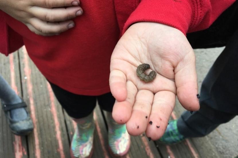 A small child wearing unicorn boots and a red jumper stands on a wooden deck, holding out an insect larva on their flat palm. © Chris Mackie