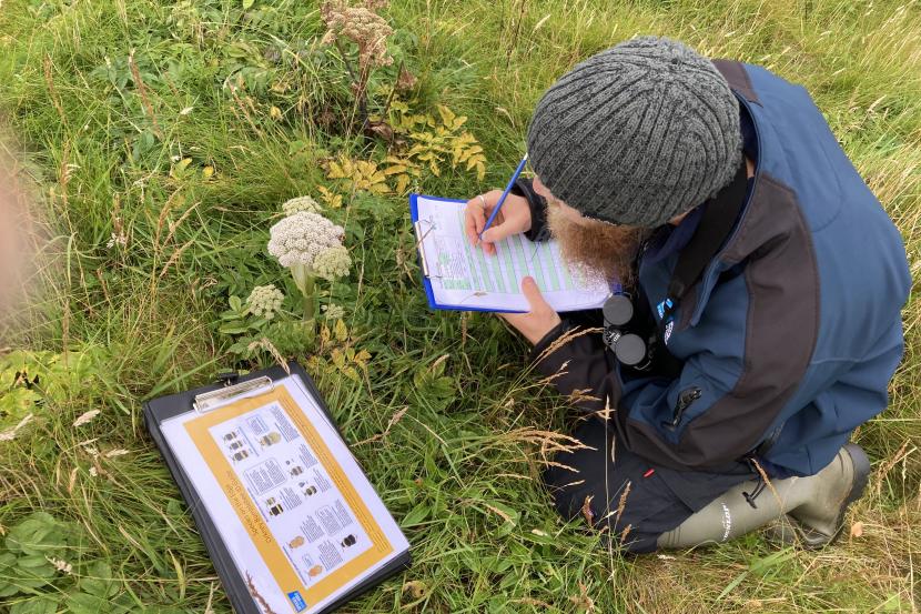 Man kneeling in the grass, writing on a clipboard and looking at a bumblebee identification guide.